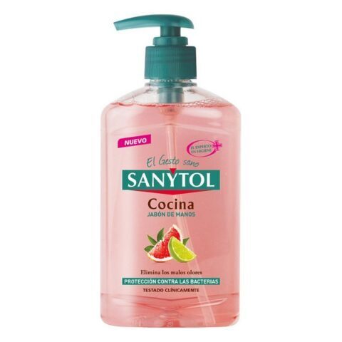 Σαπούνι Χεριών με Δοχείο Antibacterias Kitchen Sanytol (250 ml)
