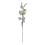 Διακοσμητικό Λουλούδι DKD Home Decor Λευκό Αφρός (20 x 113 cm)