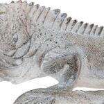 Διακοσμητική Φιγούρα DKD Home Decor Ρητίνη Πέτρα Iguana (22 x 12 x 8 cm)