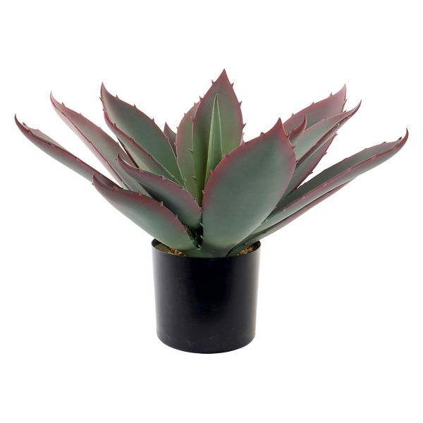 Διακοσμητικό Φυτό DKD Home Decor πολυπροπυλένιο EVA (45 x 45 x 55 cm)