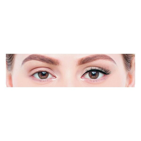 Ψεύτικες βλεφαρίδες Pro Magnetic Kit Wispy Eylure