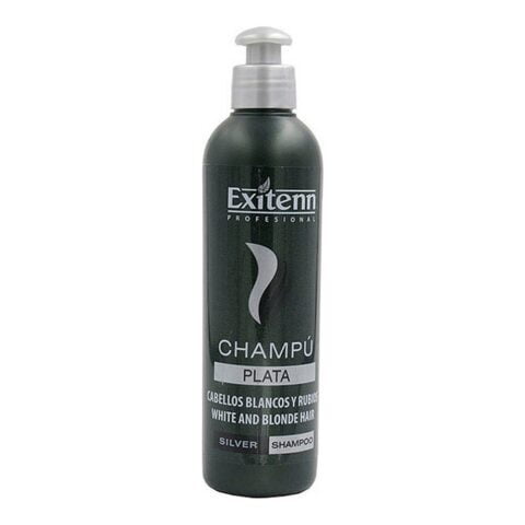 Σαμπουάν για Ξανθά Μαλλιά ή Γκρι Exitenn (250 ml)