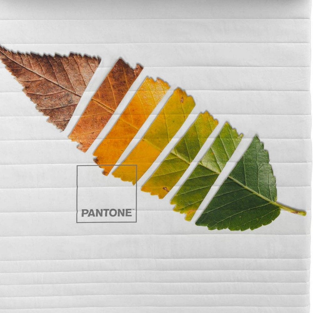 Πάπλωμα Leaf Pantone
