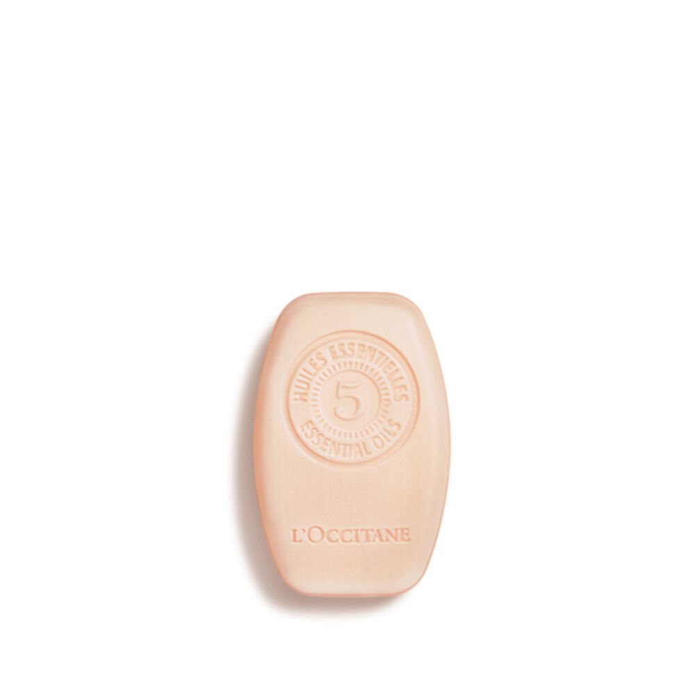 Στερεό Σαμπουάν L'Occitane En Provence 17SH060SG21 60 g