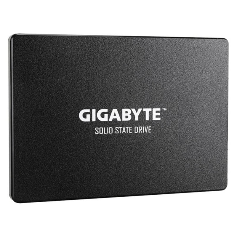 Σκληρός δίσκος Gigabyte GP-GSTFS3 2
