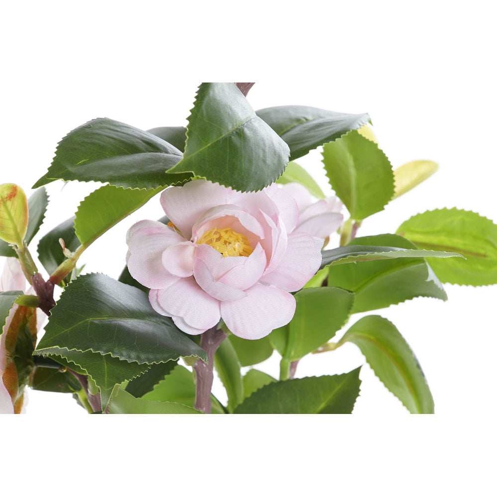 Διακοσμητικό Φυτό DKD Home Decor Λευκό Πράσινο Ροζ PVC EVA (23 x 18 x 38 cm)