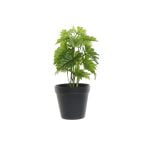 Διακοσμητικό Φυτό DKD Home Decor Μαύρο Πράσινο PVC Πλαστική ύλη (15 x 15 x 28 cm)