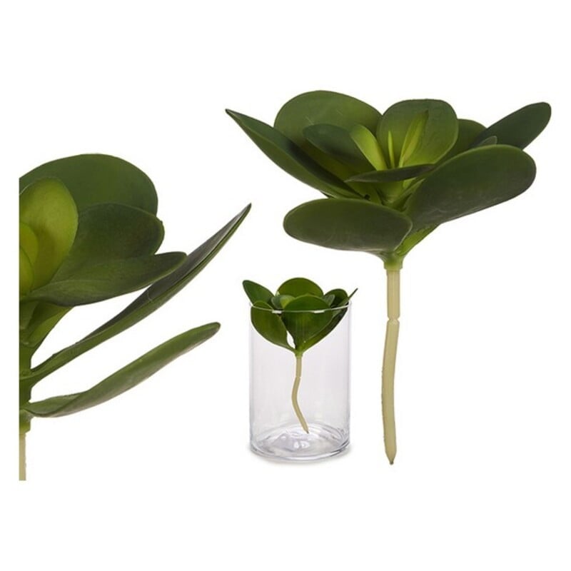 Διακοσμητικό Φυτό S3607243 Πλαστική ύλη (16 x 25 x 16	 cm) (18 x 23 x 18	 cm)