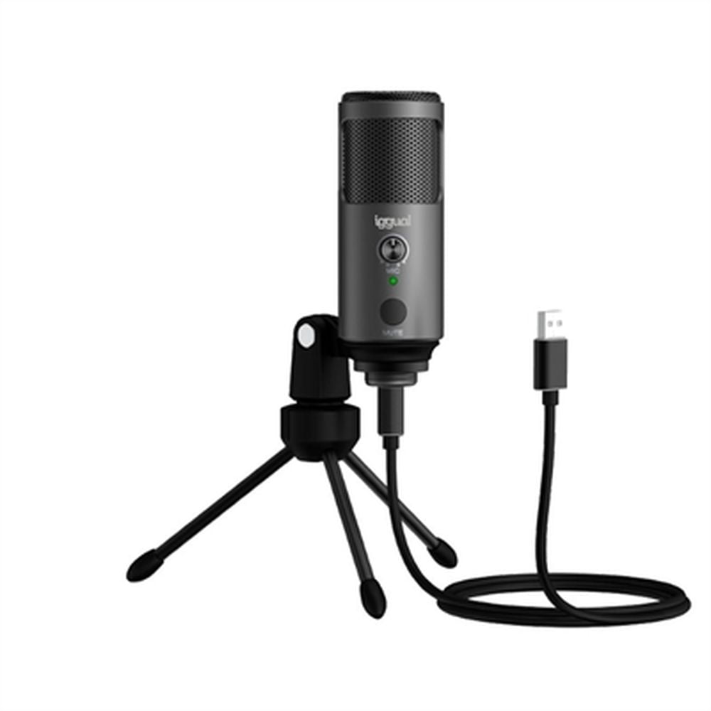 Μικρόφωνο iggual IGG317273
