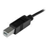 Καλώδιο USB C σε USB B Startech USB2CB2M Μαύρο 2 m