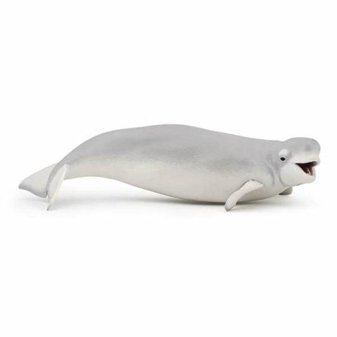 Εικόνες Fun Toys Beluga