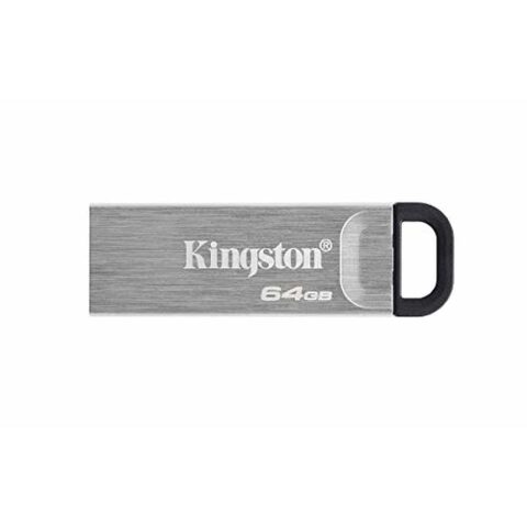 Στικάκι USB Kingston DTKN/64GB            64 GB Ασημί