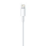 Καλώδιο USB σε Lightning Apple MXLY2ZM/A            Lightning Λευκό