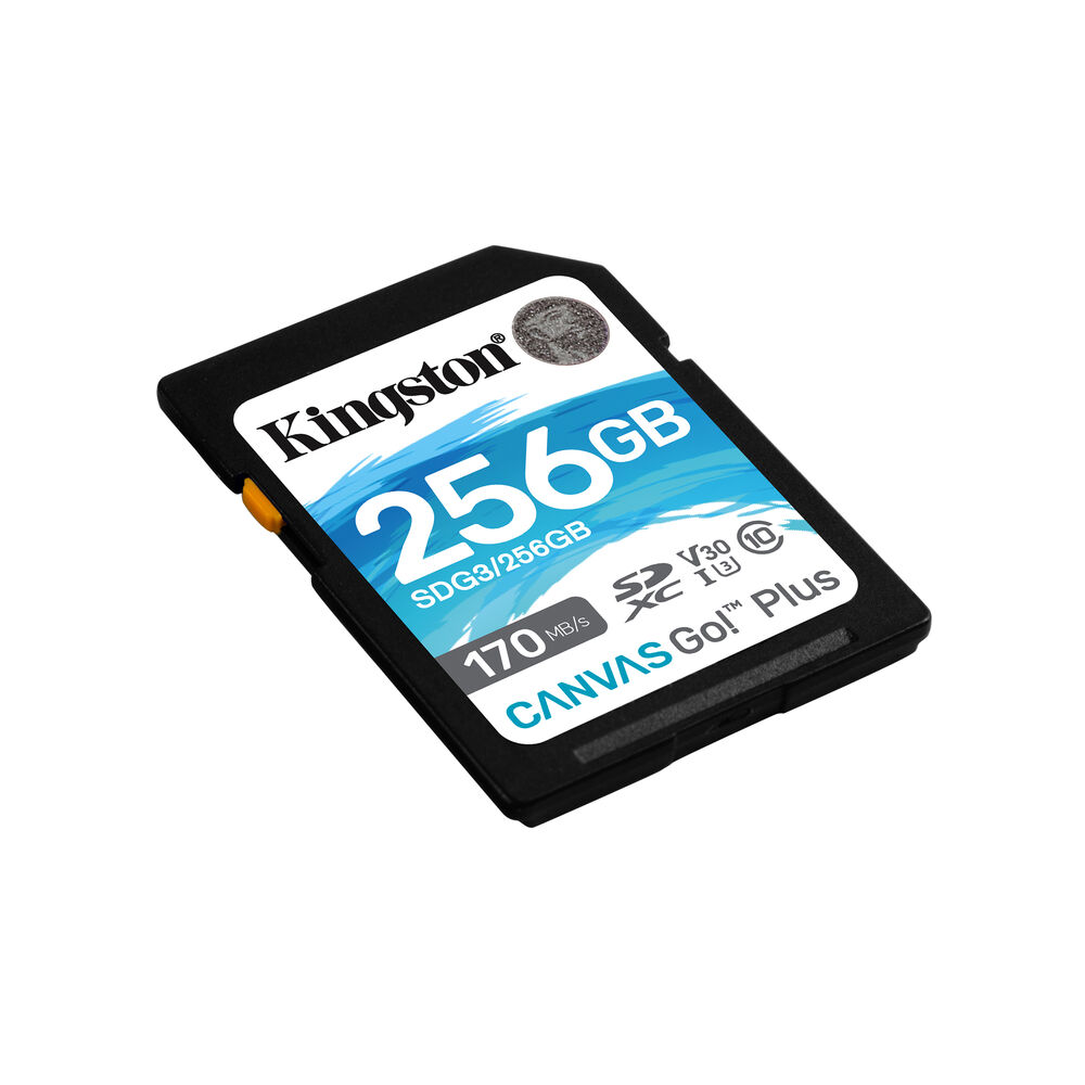 Κάρτα Μνήμης SD Kingston SDG3/256GB 256GB 256 GB