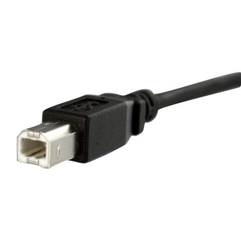 Καλώδιο USB Startech USBPNLBFBM1          USB B Μαύρο
