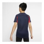 Παιδική Μπλούζα με Κοντό Μανίκι Nike Dri-FIT Academy Σκούρο μπλε
