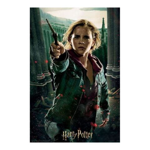 3D Παζλ Harry Potter Hermione Granger Battle Prime3D (300 pcs)
