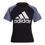 Γυναικεία Μπλούζα με Κοντό Μανίκι Adidas Sportswear Colorblock Μαύρο