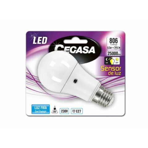 Λάμπα LED Cegasa 8