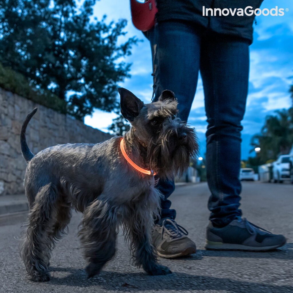 Κολάρο LED για Κατοικίδια Ζώα Petlux InnovaGoods