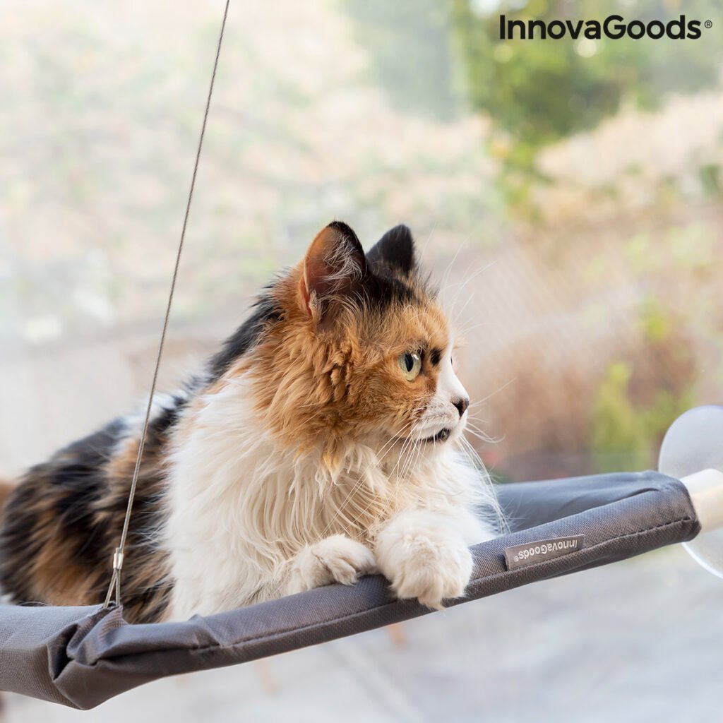 Κρεμαστή Αιώρα για Γάτες Catlax InnovaGoods