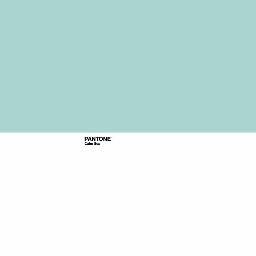 Κάλυψη παπλώματος Pantone Calm Sea (Kρεβάτι 135) (220 x 220 cm)