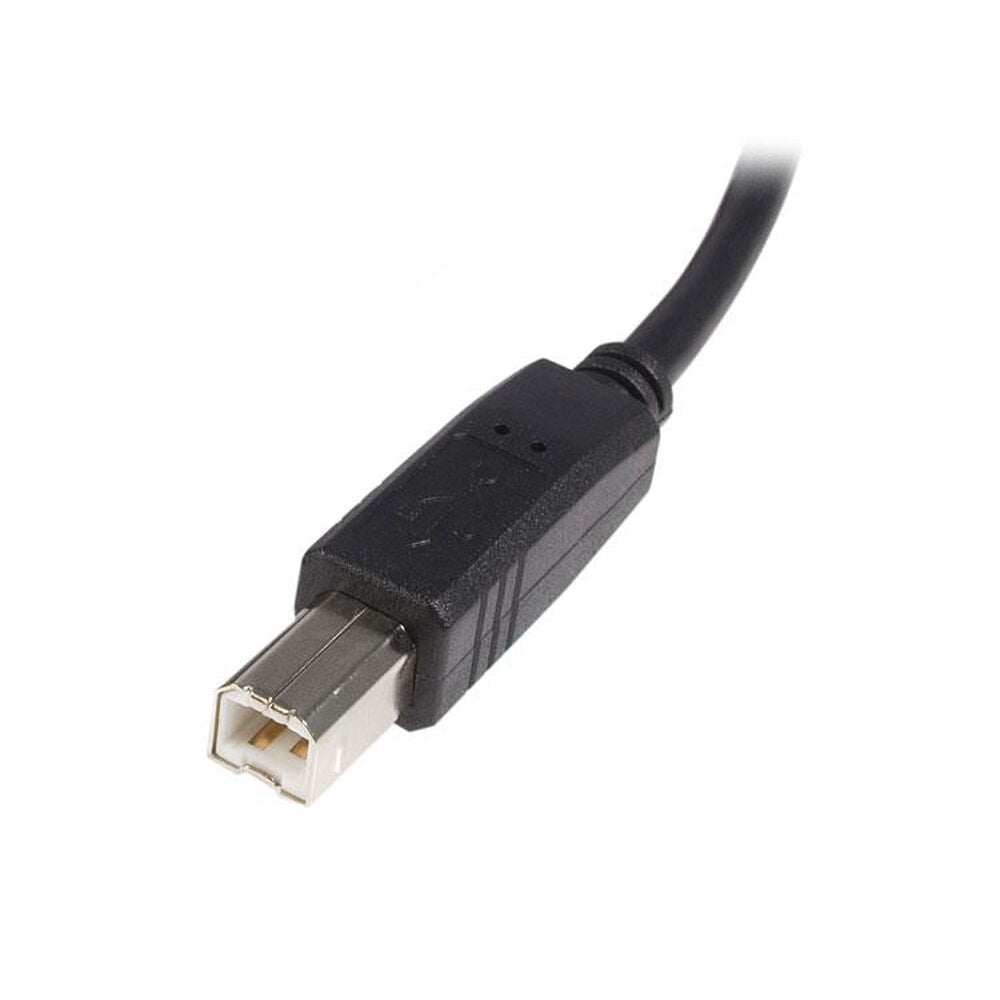 Καλώδιο USB A σε USB B Startech USB2HAB5M            Μαύρο