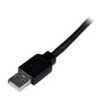 Καλώδιο USB A σε USB B Startech USB2HAB65AC          Μαύρο