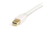 Καλώδιο DisplayPort Mini σε DisplayPort Startech MDP2DPMM2MW          (2 m) Λευκό 4K Ultra HD