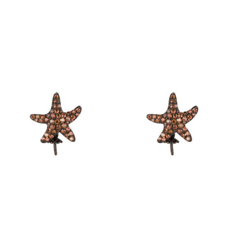 Γυναικεία Σκουλαρίκια Lancaster JLA-EAR-STAR-4