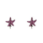 Γυναικεία Σκουλαρίκια Lancaster JLA-EAR-STAR-5