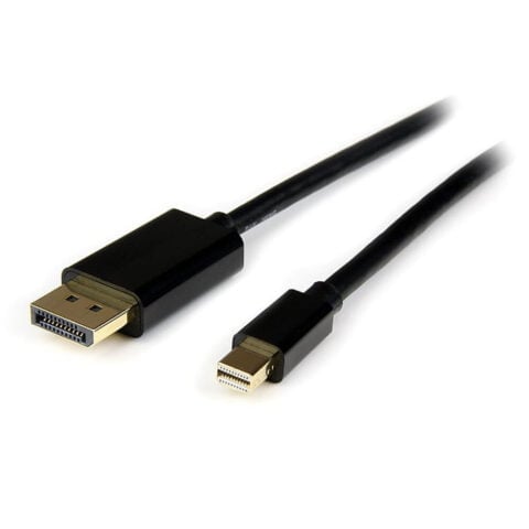 Καλώδιο DisplayPort Mini σε DisplayPort Startech MDP2DPMM4M           Μαύρο 4 m