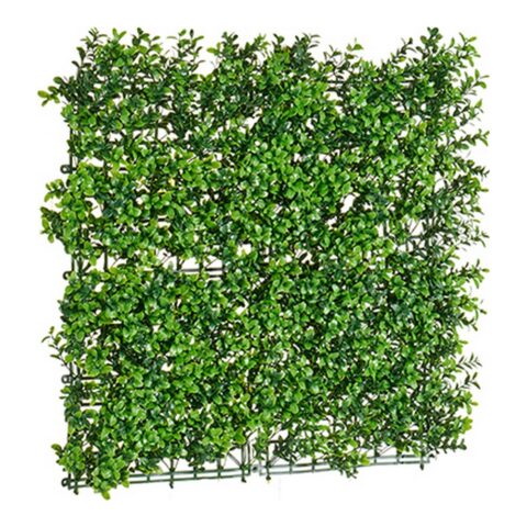 Διακοσμητικό Φυτό Πράσινο Πλαστική ύλη (50 x 5 x 50 cm)