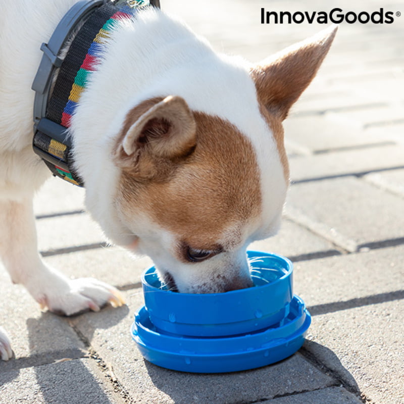 Ανασυρόμενο λουρί για σκύλους 6 σε 1 Compet InnovaGoods
