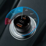 100W (black)