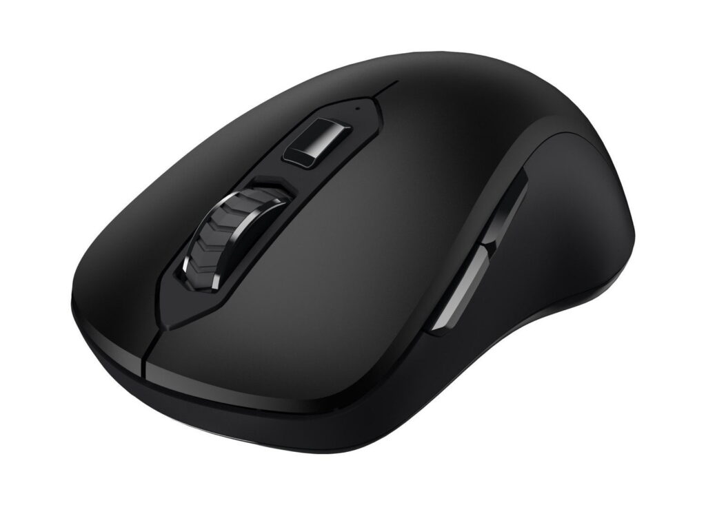 Wireless mouse Dareu LM115G 2.4G 800-1600 DPI (black)