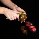 Αποφλοιωτής Φρούτων και Λαχανικών Quid Veggy Μέταλλο Πράσινο (21 x 10 x 2 cm)
