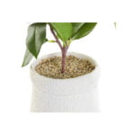 Διακοσμητικό Φυτό DKD Home Decor Λευκό Πράσινο Ροζ PVC EVA (23 x 18 x 38 cm)