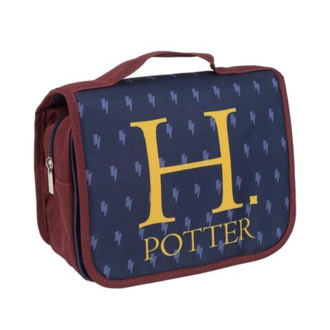 Τσάντα Ταξιδιού Harry Potter Πολύχρωμο (25 x 20 x 0