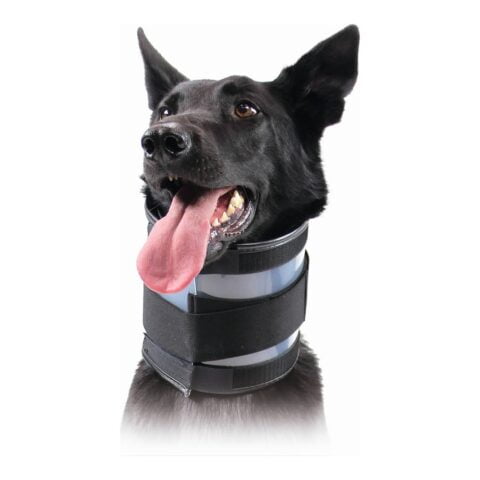 Cervical Collar for Dogs KVP Μαύρο (6-28 cm)