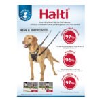 Λουρί Σκύλου Company of Animals Halti Μέγεθος S (26-36 cm)