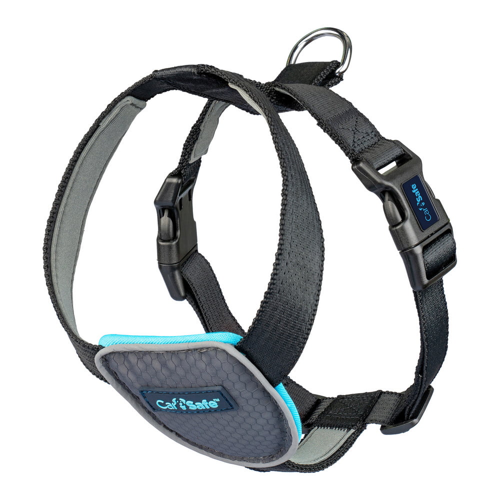 Λουρί Σκύλου Company of Animals CarSafe Μαύρο Μέγεθος L