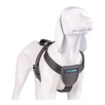 Λουρί Σκύλου Company of Animals CarSafe Μαύρο Μέγεθος L