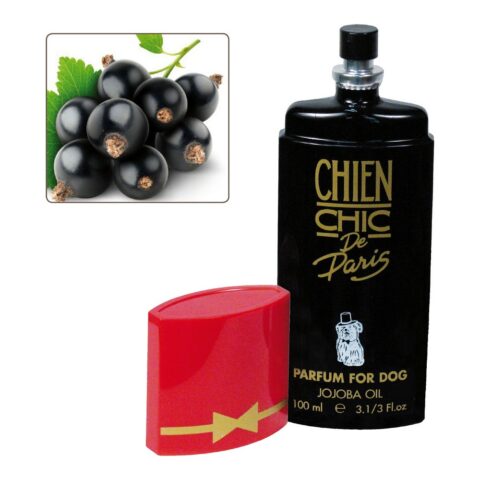 Άρωμα για Κατοικίδια ζώα Chien Chic Σκύλος σταφίδα (100 ml)