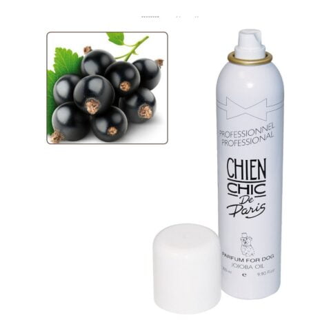 Άρωμα για Κατοικίδια ζώα Chien Chic Σκύλος Spray σταφίδα (300 ml)