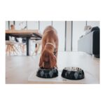 Ταΐστρα σκύλων Hunter Kimberley μελαμίνη Μαύρο Ανοξείδωτο ατσάλι Τριγωνικό (22