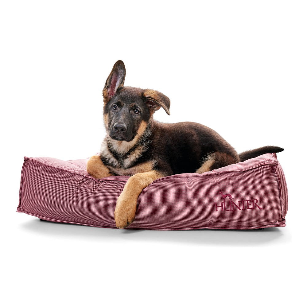 Bed for Dogs Hunter Lancaster Κόκκινο (100 x 70 cm)