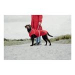 Παλτό Σκύλου Norton 360 Uppsala Κόκκινο 30 cm