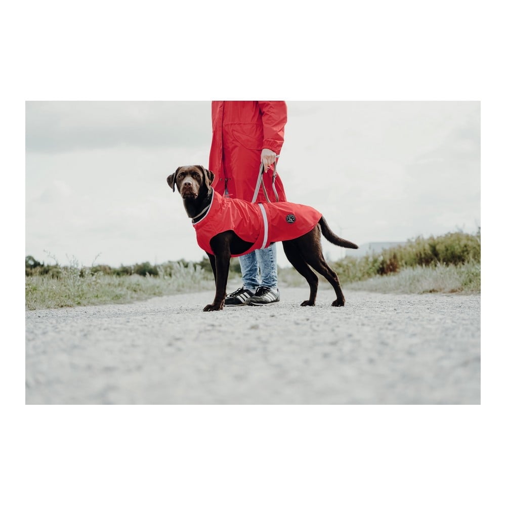Παλτό Σκύλου Norton 360 Uppsala Κόκκινο 30 cm