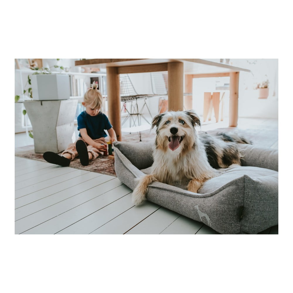 Καναπές Σκύλου Hunter Prag Υφασμάτινο Γκρι (70 x 50 cm)